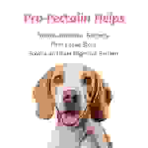 La pommade orale OEM ODM pour chien de <span class=keywords><strong>chat</strong></span> aide à soulager la diarrhée occasionnelle chez les chats et les chiens. Contient 30cc de probiotiques. - Product Image 3