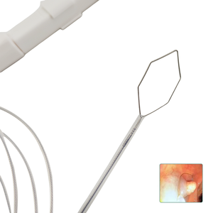 Harga Pabrik OEM Alat Polipektomi Sekali Pakai, Kawat Elektrik, Bahan Stainless Steel, Instrumen Bedah Manual Dasar - Product Image 4