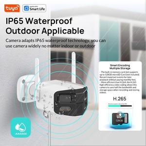 Tuya HD kép ánh sáng kép ống kính 180 độ góc rộng toàn cảnh CCTV IP PoE Camera hỗ trợ hai chiều âm thanh khe cắm thẻ SD - Product Image 4