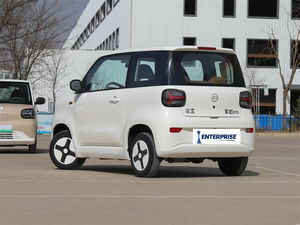 新款迷你汽车知豆彩虹205千米迷你电动汽车4轮4座迷你电动汽车新能源汽车成人销售 - Product Image 6