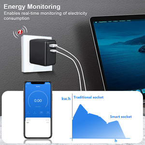 Zócalo ZigBee Smart FR, monitor de rendimiento de Oulets franceses de pared de doble enchufe, funciona con Google Home Smart Life Alexa - Product Image 2