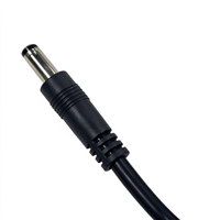 Connecteur mâle DC5521 avec câble pigtail, prise DC 5,5*2,1 mm, 18AWG, 200 cm, pour terminal de pointage d'empreintes digitales
