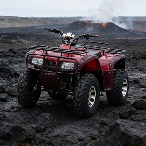 Buggy de plage parfait, machine de plaisir en plein air pour des promenades décontractées le long de la côte et sur les sentiers côtiers - Product Image 4