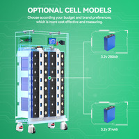 Stock UE Pologne Disjoncteur 16kWh 220A 51.2V 280ah 314Ah Batterie LiFePO4 Batterie au lithium avec JK BMS V19 pour le stockage d'énergie domestique