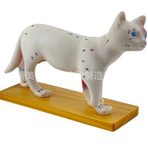 Modelo de acupuntura para gatos, modelo de acupuntura para perros, puntos de acupuntura para animales, acupuntura animal, enseñanza veterinaria de anatomía animal - Product Image 2