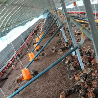 Mangeoire automatique en acier et PP pour l'élevage de poulets de chair et de reproducteurs avec composant moteur central