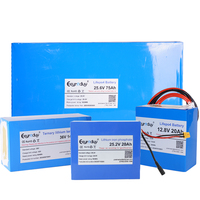 Batterie LiFePO4 12,8V 20Ah 256Wh semi-solide à 4 cellules côte à côte avec BMS, durée de vie de 3000 cycles pour fauteuil roulant électrique
