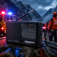 Radio de poche portable vintage OEM ODM avec logo personnalisé, 9 bandes AM FM SW, USB, TF, BT, alimentée par piles, lampe de poche d'urgence