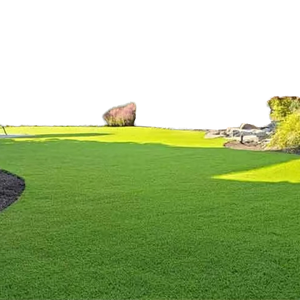 Construction & Real Estate Colle liquide pour pelouse pour l'installation de gazon artificiel dans les gymnases - Product Image 1