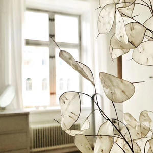 Vente en gros d'usine, bouquet préservé, véritable <span class=keywords><strong>lunaria</strong></span> <span class=keywords><strong>annua</strong></span> naturel, pour la décoration florale, cadeau de luxe - Product Image 4