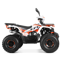 Tao Motor VTT Enfant 125cc à Injection Électronique EFI Quadricycle Chinois Bon Marché Automatique Transmission par Chaîne VTT Agricole