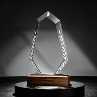 Plaques de récompense personnalisées en bois massif, trophées en verre cristal vierges, gravure laser, prix phare