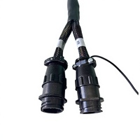 Pabrik Produsen Kabel Harness Industri Otomotif Profesional yang Dapat Disesuaikan