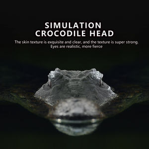 Flytec V005 Crocodile Head 2, Barco de Carreras RC 4G sin Escobillas, Resistente al Agua, Recargable, Control Remoto, Juguete de Broma para Piscina o Lago - Product Image 4