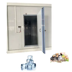 Commercial Cold Room Refrigerator Walk In Freezer Kitchen Fish Cold Storage Container