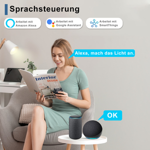 Touchmi estándar europeo Smart Wifi Socket Control de voz Control remoto Función de temporizador WiFi Smart Plug - Product Image 6