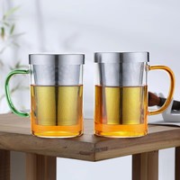 Taza de Té de Vidrio de Borosilicato de Alta Calidad de 500 ml con Elegante Apariencia, con Infusor de Acero Inoxidable y Tapa