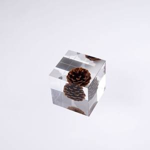 Adorno de Cubo de Resina Acrílica con Piña de Pino Integrada, Decoración Minimalista Cuadrada para Sala de Estar, Regalo de Cumpleaños, Paquete Individual - Product Image 3