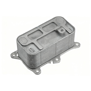 Carcasa de Filtro de Aceite Raceorly para <span class=keywords><strong>Mercedes</strong></span> A200d C180d C200d <span class=keywords><strong>E220d</strong></span> OEM 6541805700 W177 W205 W213 C257 OM654.920 OM654.916 Modelos - Product Image 1