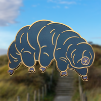 Nouvelles Broches Amusantes en Forme d'Arctogryphes (Ours Aquatiques) – Vente en Gros, Fabrication Artisanale en Métal, Badges Personnalisés en Émail