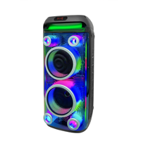 Altavoz de Torre Vertical Transparente de 60W con Bluetooth, Luces RGB Fluidas, Altavoz de Karaoke, Micrófonos Inalámbricos Dobles, Control Remoto, Adaptador de 13.5V 1.5A