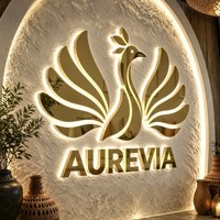 Enseigne de salon de beauté de luxe, lettres 3D LED personnalisées, logo lumineux en acier inoxydable doré pour la réception d'un spa ou d'une clinique