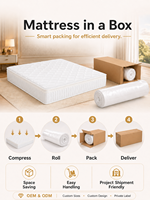 Matelas à ressorts ensachés hypoallergénique King et Queen Size avec mousse haute densité pour chambres d'hôtel