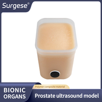Modelo de Entrenamiento de Anatomía de Próstata por Ultrasonido, Tamaño Compacto, Compatible con Sonda Endocavitaria |   Fantom de Ultrasonido para Diagnóstico de Próstata