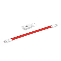 Mailin YS-201CC 2026 Trending USB-datakabel Type-C Mini sleutelhanger Type C oplaadkabel 3A 60W snelladen voor mobiele telefoon