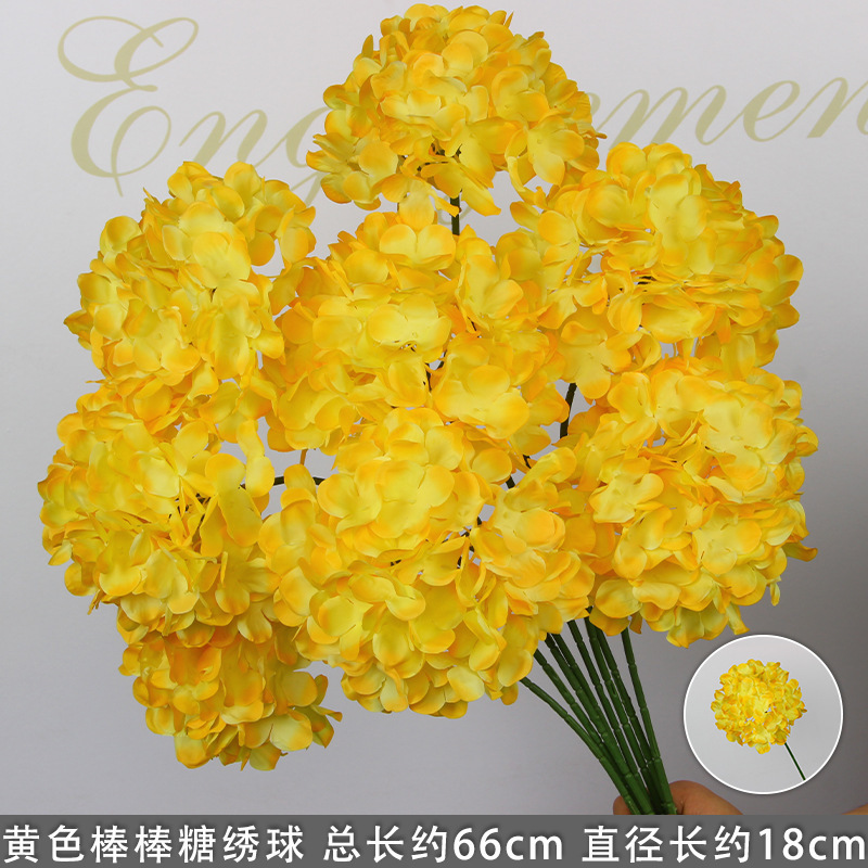 Hortensia sucette jaune