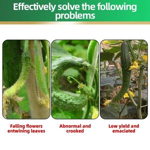 Favoriser la floraison et la fructification <span class=keywords><strong>Engrais</strong></span> agricole <span class=keywords><strong>Engrais</strong></span> de <span class=keywords><strong>concombre</strong></span> - Product Image 3