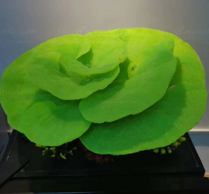 Hoogwaardige, best verkochte kunstmatige koralen voor aquariumdecoratie. Kunstmatige koraalriften te koop. - Product Image 5