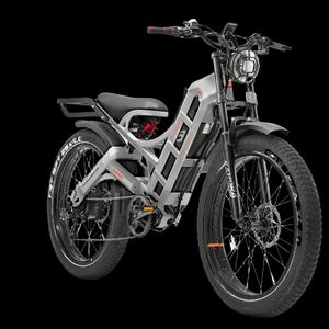 Batterie de vélo électrique Eahora Romeo Pro 48V 60Ah, moteur personnalisé, capacité 250W, moteur à moyeu à puissance constante, vélo électrique de montagne - Product Image 4