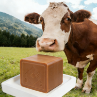 Chlorure de Sodium Supplément Alimentaire pour Animaux Pureté 96% Qualité Alimentaire pour Suppléments Minéraux Bovins en Forme de Brique Améliorée