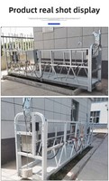 Plateforme élévatrice suspendue réglable en hauteur ZLP630 en acier haute résistance galvanisé à chaud et peint, capacité de charge 630 kg, vente en gros
