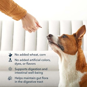 Complément alimentaire probiotique quotidien naturel CGMP pour chiens, friandises molles pour soutenir la digestion, la santé intestinale des animaux de compagnie, avec glycérine et huile de canola - Product Image 4