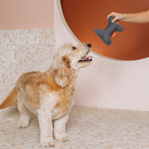 Og-juguetes interactivos <span class=keywords><strong>de</strong></span> limpieza dental para mascotas, personalizados y <span class=keywords><strong>de</strong></span> alta calidad - Product Image 2