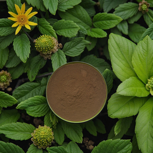 <span class=keywords><strong>Baume</strong></span> Poudre Soluble Dans L'eau Vitamine Riche (Myrtille) Séché Par Pulvérisation - Product Image 1