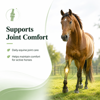 Service OEM/ODM : Supplément de Glucosamine pour Chevaux 5000, Poudre 16 Oz, Soutien pour la Santé des Hanches et des Articulations des Chevaux
