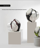 Mannequin professionnel pour vêtements pour chiens, imprimé en 3D, design musculaire, pour photographie de harnais pour animaux de compagnie, tailles S M L, ajustement réaliste