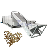 Machine de séchage commerciale pour graines de courge, de citrouille et de tournesol