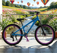 Vélo Dirt Jump Stunt MTB, Vélo à frein à disque avec jantes en alliage couleur assortie pour le cyclisme freestyle en park, vente en gros