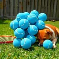 Balles de tennis d'entraînement en caoutchouc bleu clair Newchance 06 pour débutants, excellent rebond, durables, pour massage et fitness, usage individuel