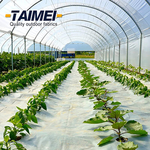 핫 세일 대형 플라스틱 온실 저렴한 비용 폴리 터널 베리 온실 필름 - Product Image 3