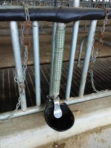 Abreuvoirs pour bétail, prix, acier <span class=keywords><strong>galvanisé</strong></span>, <span class=keywords><strong>abreuvoir</strong></span> pour chèvres, <span class=keywords><strong>abreuvoir</strong></span> en plastique pour vaches laitières ou bovins - Product Image 2