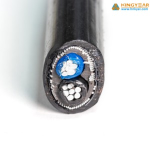 Cable neutro concéntrico de aluminio Cable concéntrico XLPE 2X16mm 2X6AWG - Product Image 3