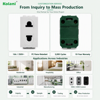 Module de prise modulaire OEM ODM, 2 trous 16A 250V avec obturateur de sécurité, logo personnalisé, couleur et emballage sur mesure, échantillon gratuit pour projets hôteliers et de bureaux