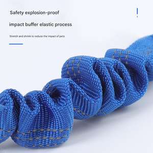 2025 nuevo arnés <span class=keywords><strong>de</strong></span> seguridad para coche <span class=keywords><strong>de</strong></span> mascotas ajustable colorido <span class=keywords><strong>de</strong></span> reflexión nocturna correa elástica con hebilla <span class=keywords><strong>de</strong></span> gancho para perros y gatos - Product Image 6