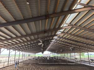 55 इंच मिश्र धातु ब्लेड एसी मोटर हवा परिसंचारी पशुधन पशु शीतलन प्रशंसक औद्योगिक प्रशंसक - Product Image 3