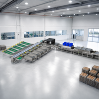 Ligne de tri d'œufs entièrement automatique, capacité de 60 000 œufs par heure, équipement de calibrage du poids des œufs pour élevages avicoles